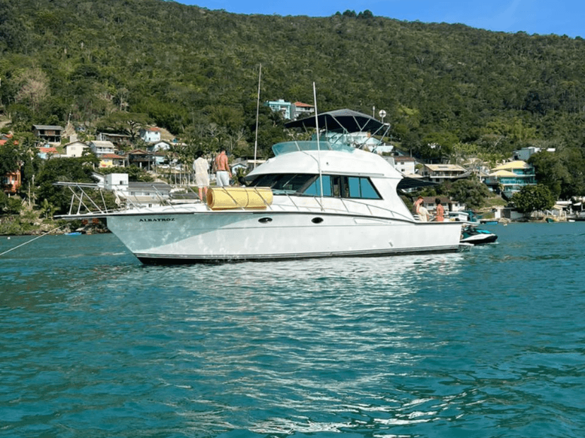 Albatroz 50